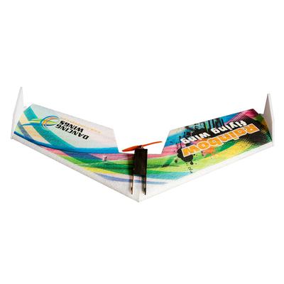 Танцующие крылья Hobby E0511 Rainbow Flying Wing V2 RC Самолет 800 мм Размах крыльев Дельта-крыло Хвост-толкатель