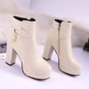 Мода Мода 2024 Женские Высокий Каблук Осень Зима Массивный Каблук Туфли на Платформе Боковые Молнии Ботильоны Большой Размер 33-43