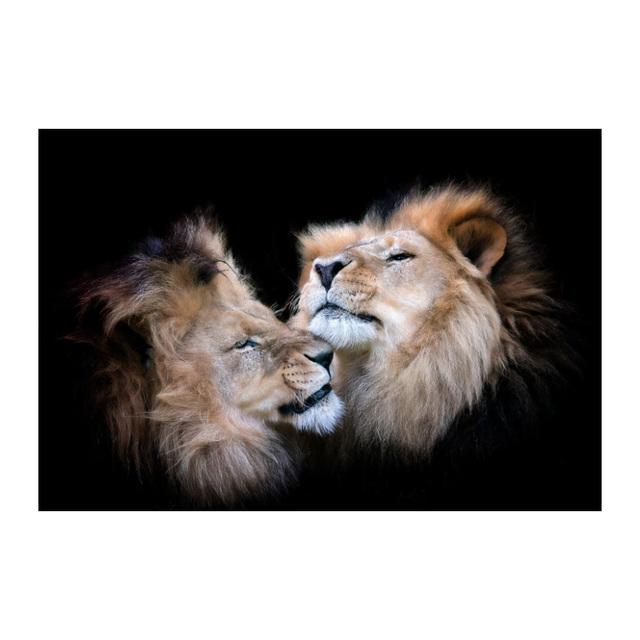 Canvas Painting Modern Wild Animal Black and White Kissing Lions Head Wall Art Pictures for Living Room Cuadros Home Decoration No Frame