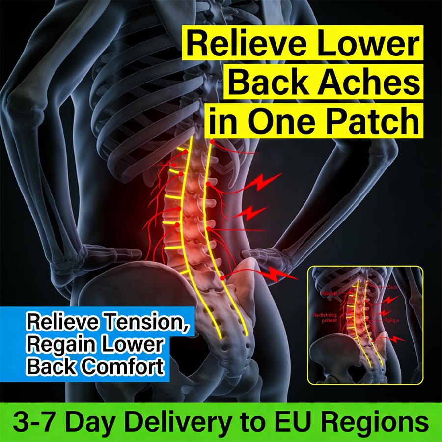 Успокаивающий пластырь на поясницу (Тигровый бленд) – Снимает ежедневное напряжение, Безопасно для кожи, 12 пластырей/коробка