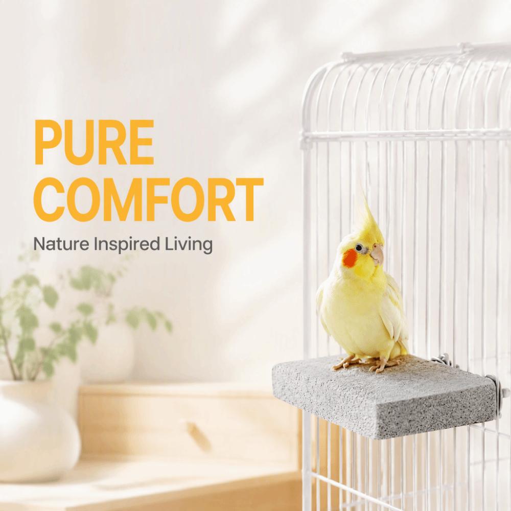 Chew-Resistant Pumice Claw Grinding Platform Safe Parrot Beak Grinding Stone  Relieve Boredom