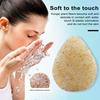 Face Wash Puff Walnut Seeds Deep Face Cleansing Soft Elastic Reusable Quick Dry Water Replenishing Women Face Wash Sponge Deep Pore Cleansing