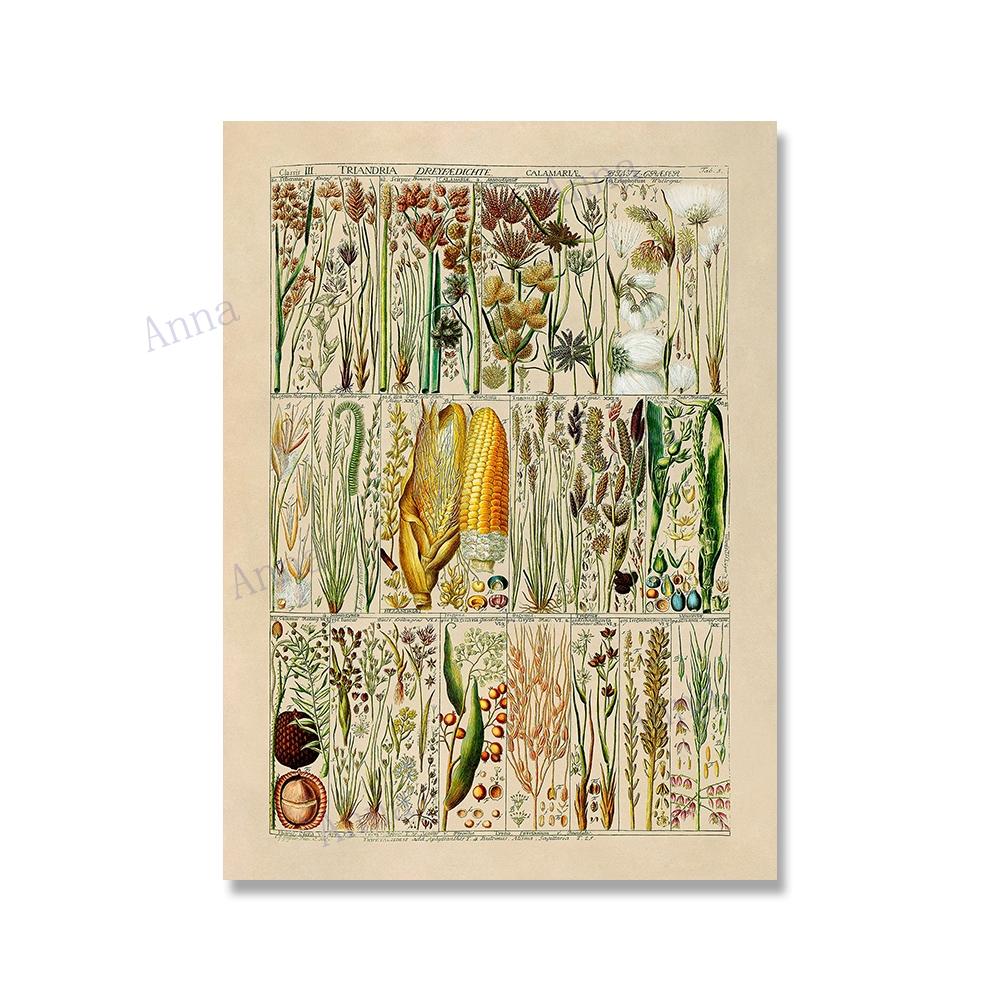 Adolphe Millot Encyclopedia Poster Fruit Botanical Mushrooms Herbs Flowers Canvas Paintings Print Vintage Wall Art Room Decor