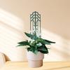 Plastic Trellis For Indoor Climbing Plant Plastic Trellis For Indoor Plant Climbers Support For Flower Growth Support
