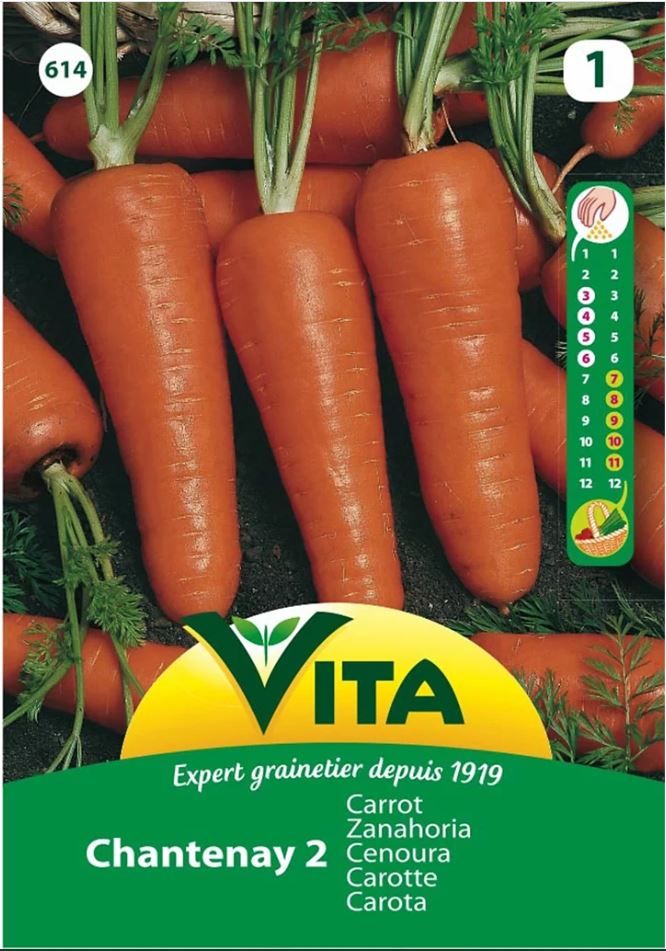 Семена моркови Red Heart Chantenay 2