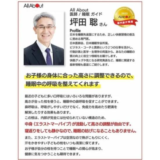 ESMERALDA Breathable Elementary School Made in Elastomer Bed Pillow Upper Pillow, Japan, Bedding, Children's Room, Pillowcase, Pipe, (Cosmos, Grades,