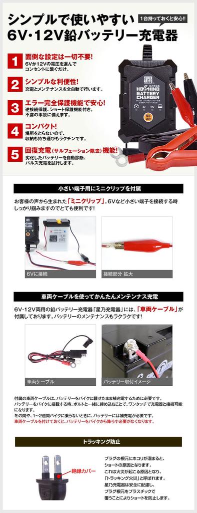 Зарядное устройство Hoshino Power