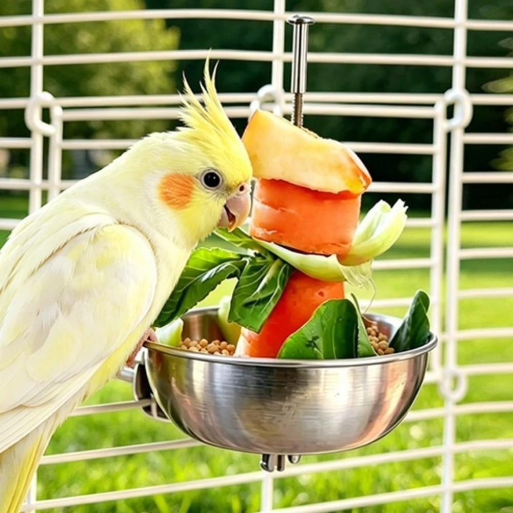 Stainless Steel Parrot Feeder Splash-Proof Vegetable Skewer Bird Food Holder  Bird Supplies