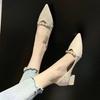 French Side Space Temperament Graceful Fairy Shoes Summer 2024 New Retro Pointed Thick Heel Small High Heels
