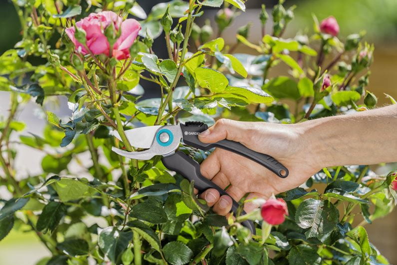 Ecoline Garden Pruning Shears B/Sm - Hg-12210-20