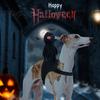 Костюм для косплея кошки, костюм для Хэллоуина собаки, 3D-наряд Всадника Жнеца, смешная удобная одежда для питомца на фестиваль, праздничная одежда для маленьких, средних и