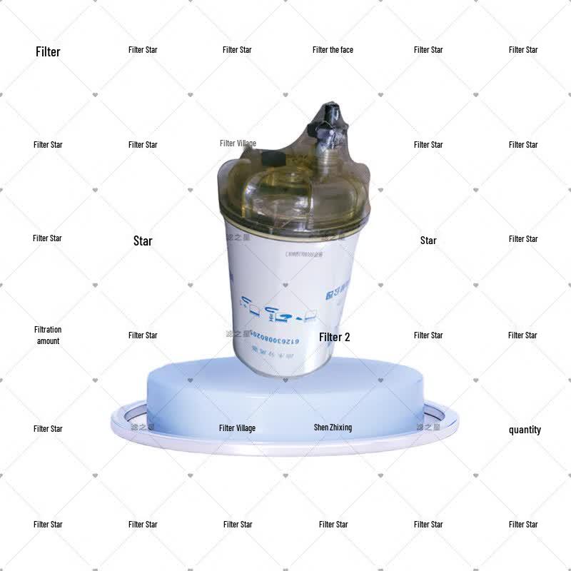 Компоненты фильтрации двигателя LuzhixiNG для Shaanxi SX2190N