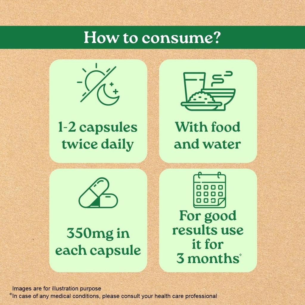 Organic India Lipid Care 60 Veg Capsules Pack of 2 Heart Health Cholesterol Support Supplement