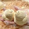 Милый Пищащий Цыпленок Игрушка-Сжималка Ручной Работы Желтый Большой Цыпленок Плюшевая Силиконовая Игрушка Снятие Стресса Липкая Кукла Кавайный Подарок для Детей