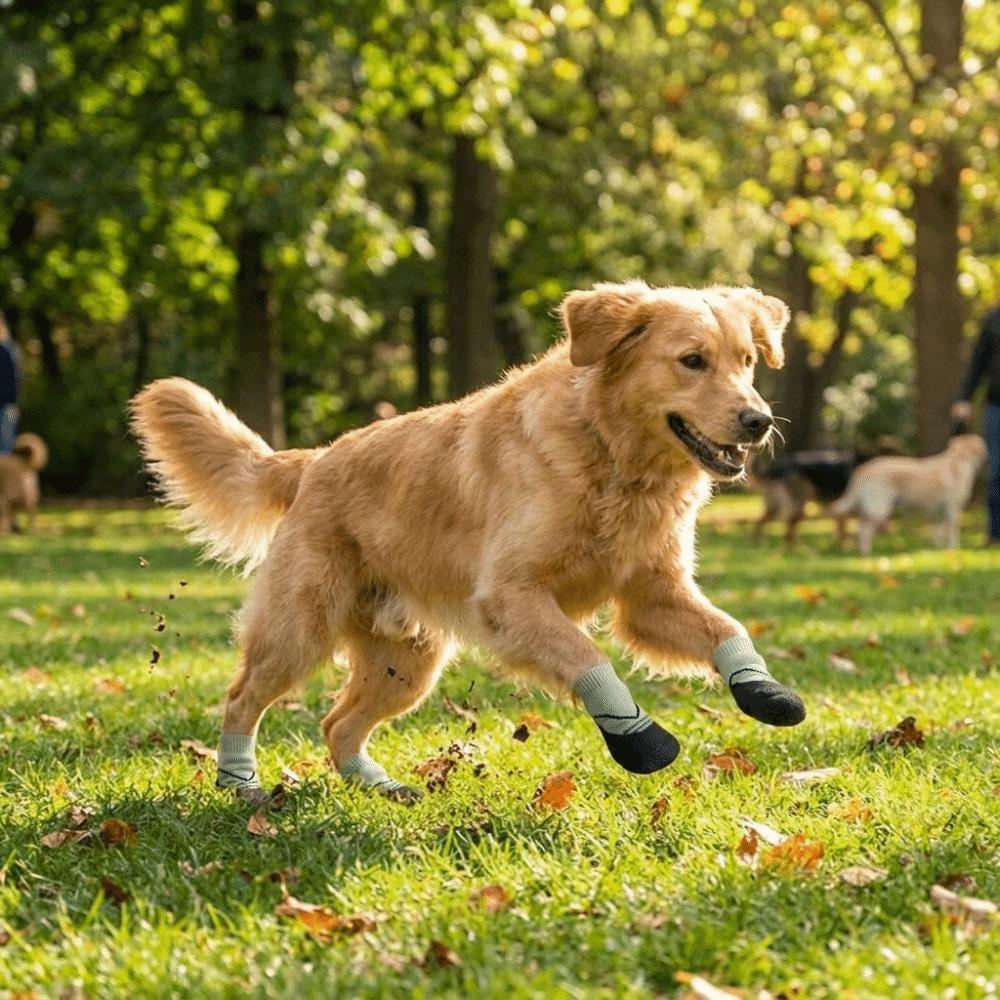 4PCS Breathable Non-slip Dog Shoes Waterproof Pet Paw Protector Soft Pet Knitted Socks Walking