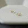 14K Gold-Plated Sterling Silver Leaf and Branch Stud Earrings - Japanese & Korean Style