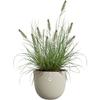ELHO Flower Pot Sereh Round 30 - Beige - Ø 29.5 X H 25 Cm - 100% Recycled