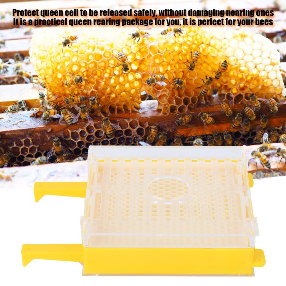 251Pcs Reliable Queen Cell Protective Cover Convenient Full Bee Breeding Set Beekeeping