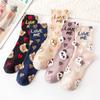 2021 New Letter Love Me Cartoon Animal Dog Cat Panda Socks Warm Cute Winter Casual Women Short Cotton Fashion Street Socks