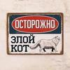 Жестяная табличка «Злой персидский кот», 20x30 см, Винтажный декор для забора, Подарок для дачи