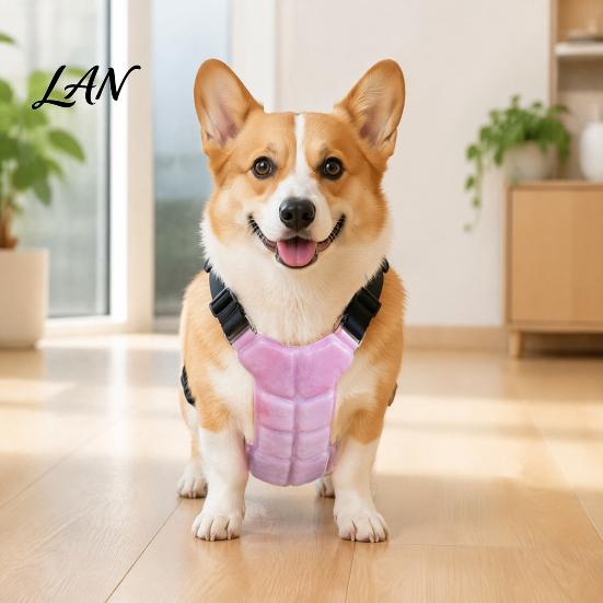 Comfortable Cooling Harness for Walking Dog Vest, Breathable Coat with Gel Ice Packs, Pet Heat Stress Relief Gear Summer Jacket Large Medium