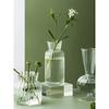 Прозрачная стеклянная ваза Домашняя гидропонная ваза Декоративная ваза в скандинавском стиле Современное украшение для стола Ваза Украшение для дома Современное украшение