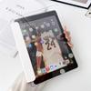 Clear 360 Rotation Shockproof Case With Pencil Holder IPad 10