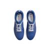 Nike Кроссовки унисекс Zoom Nyjah 3 SB Game Royal сине-белые DV1187-400