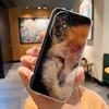 Чехол для телефона Honor 200 Pro Милый Панда Мягкий Силиконовый Чехол Для Honor 200 Lite honor200 Чехол Модный Прозрачный ТПУ Задняя Крышка Coque