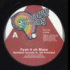 7inch Record UK PRINCIPAL - Fyah It Ah Blaze / Dub It Ah Blaze RS002 Rainbow Sounds 2023 UK Reggae, Ska & Dub