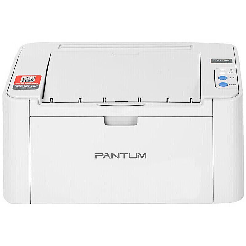 Pantum P2206NW Monochrome Laser Printer CN plug (adapter included)