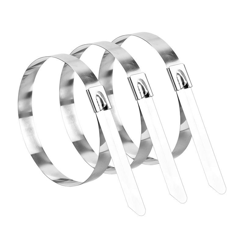 Хомут для морского кабеля из нержавеющей стали 304 с пряжкой для крепления проводов для фотоэлектрической энергии