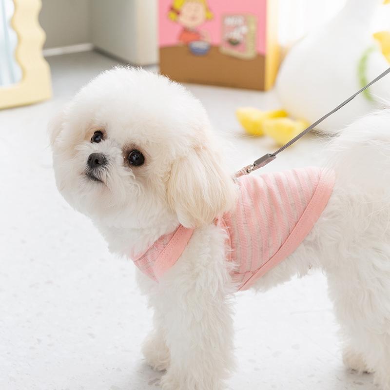 Весенне-летняя дышащая легкая ажурная жилетка для собак с медвежьим поводком и плюшевой собачкой, одежда для собак