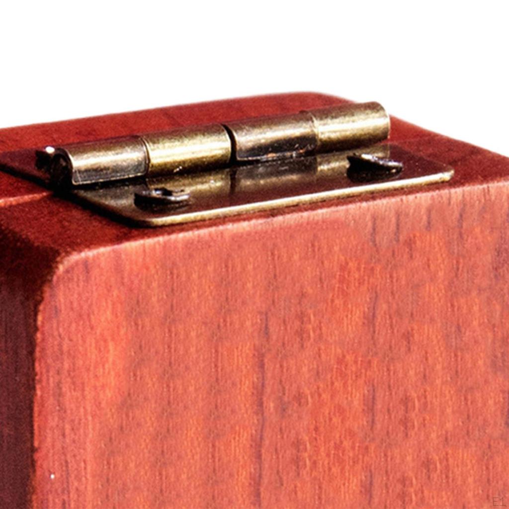 Guitar Pick Box Wood Portable Universal Picks Holder, Organizer for Music Lovers