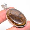Ископаемый драгоценный камень из натурального грязевого трещины, стерлинговое серебро 925 пробы, подарочный кулон 2,17 дюйма E0a16
