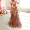 Women Evening Dress Mesh Colorful Printing Low-cut Sleeveless Backless Spaghetti Strap Pleated A-line Floor Length Tight