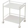 (YAMAZEN) Steel Rack with Casters, 2 Tiers, White, CPR-50432C(WH)