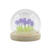Floral Glow Garden Dome – 20 Tulips – LED USB