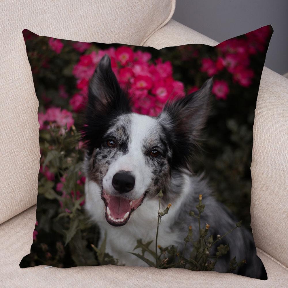 Милый питомец животное собака принт наволочка шотландский бордер колли подушка чехол диван украшение для автомобиля