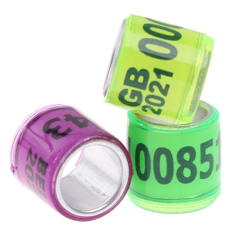 20 шт. Кольцо в виде лапки голубя с серьгами в виде слов 2021 Многоцветные инструменты для птиц