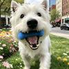 Dog Calculus Remover Tooth Brushing Helper, Pet Dental Prop Chewable Toy, Dual-Action Canine Oral Durable Chew Toy for Dogs Care Tool Cleaning Teeth,