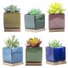 Iikuru Stylish Succulent Planter Ceramic Pots for Houseplants Set,