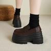 Small Height Increase Single Shoes Women's 2025 Spring New Thick-soled Wear-resistant Small Leather Shoes Versatile and Thin Muffin Loafers