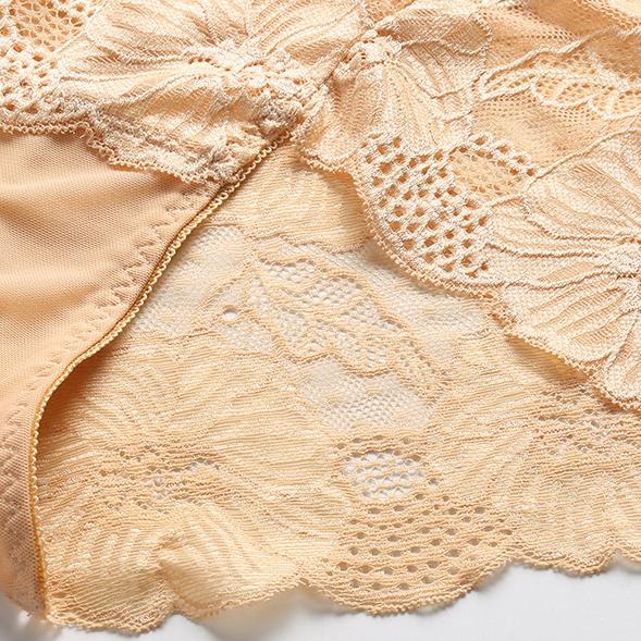 Sexy Lace Transparent Women Underwear Lady Panties Briefs Lingerie Intimates EMA