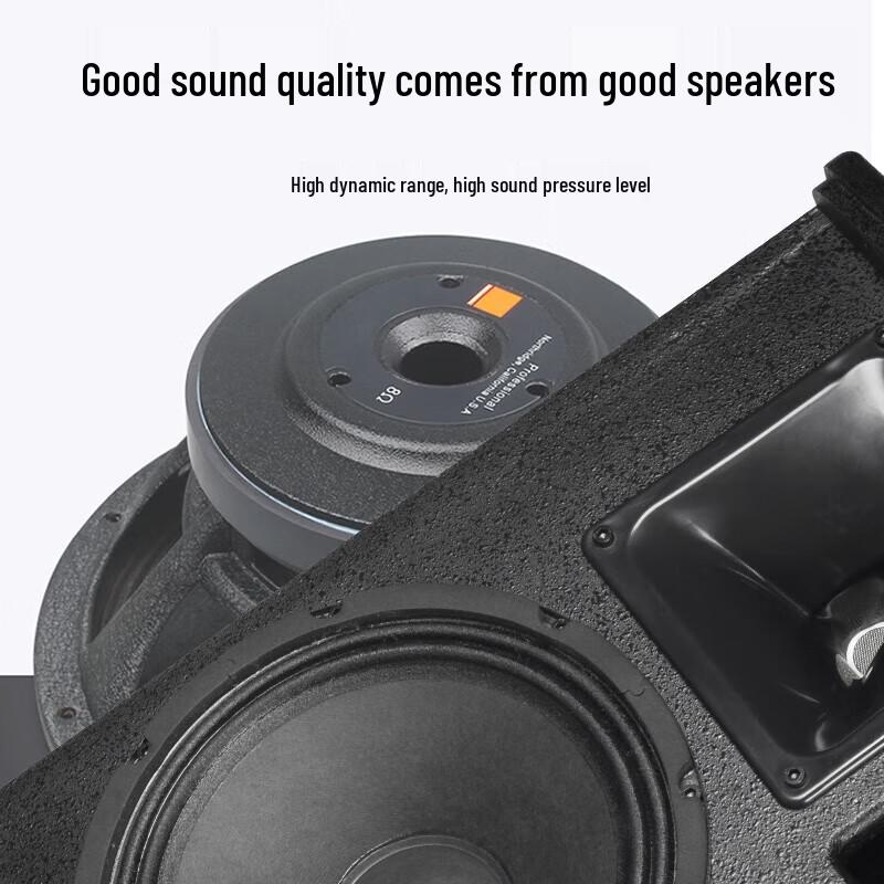 HuiDu HZ-10 Professional Full-Range Speaker