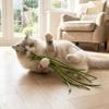 Soft Texture Simulated Cowpea Cat Teaser Durable Cat Teaser Toy Cat Chew Toy Teeth Cleaning