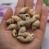 20Pcs/50Pcs Conch Jewelry Natural The Mother Of Pearl Pendant Whithour Hole For Jewelry Making Fishbowl Dress Costume Ornament