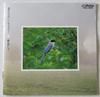CD BIRD - A Symphony of Birds In the Mountain VICG2006 Japan ObiSound Effects & Nature Used