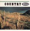 CD OMNIBUS, JOY LYNN WHITE, ORDINARY M - Country Hits  MVCM2311 Japan ObiCountry Used