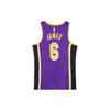 Nike Джерси LA Lakers Леброн Джеймс CV9481-513